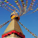 Развитие интуиции через символизм Mustang Gold